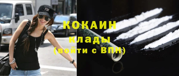 спайс Горняк