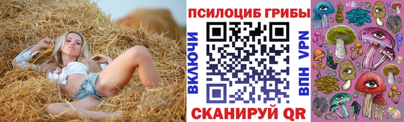 Галлюциногенные грибы Psilocybe  Иланский 